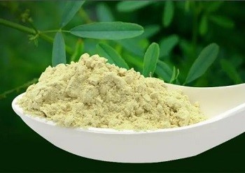 luteolin powder.jpg.jpg